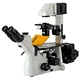 Fluorescent Inverted Biological Microscope